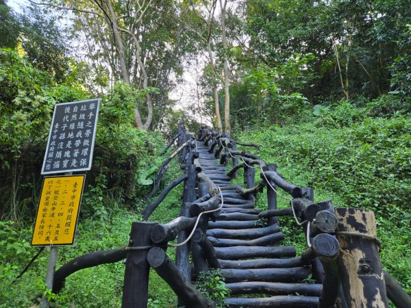 大坑一號、大坑五號（小百岳）2656476