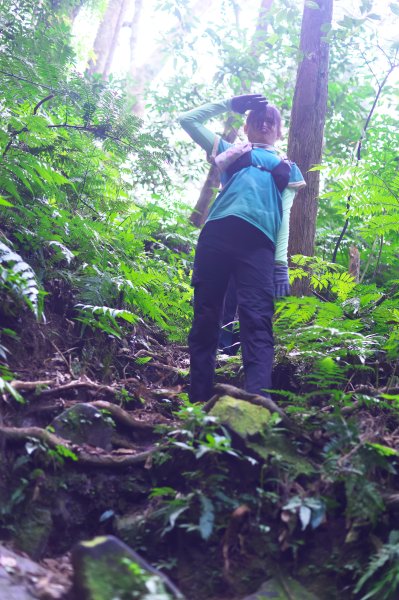 嘎色鬧登那結山2392517