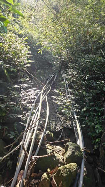 20251124綠峰山莊到天籟-大孔尾步道-南勢湖步道2944104
