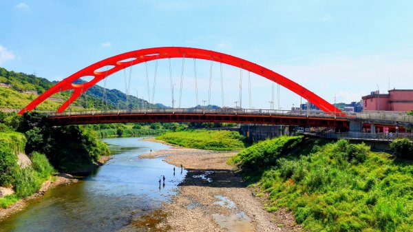 五堵獅頭山3096299