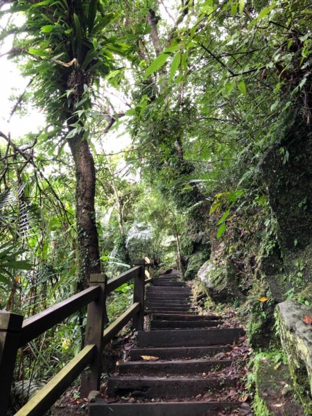 嘉義連峰獨立山大巃頂紅楠坑觀音石阿拔泉633146