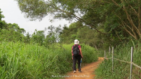 《彰化》稜線雙龍｜田中森林登山步道O型202506292824377