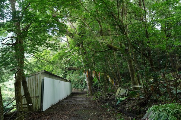 苗栗 大湖 金童山、玉女山、汶水山2806907