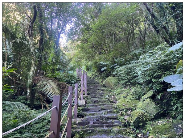 銀河洞瀑布、待老坑山、樟湖山、樟山 連走2791800