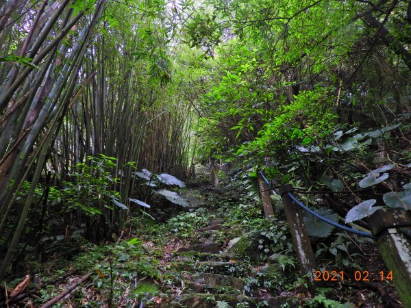 臺北 北投 向天池山、山仔頂古道1269606