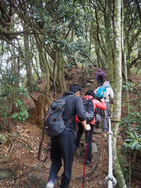 台中鳶嘴山20180406304854