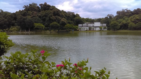 內湖碧湖公園環湖步道的湖光山色、波光粼粼987804