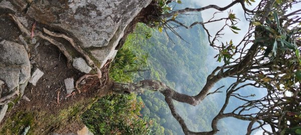 開啟爬山技能的今天2684190