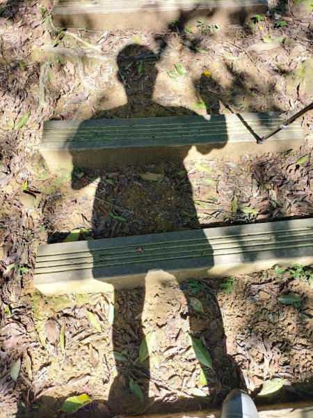 銀河洞越嶺道2469344