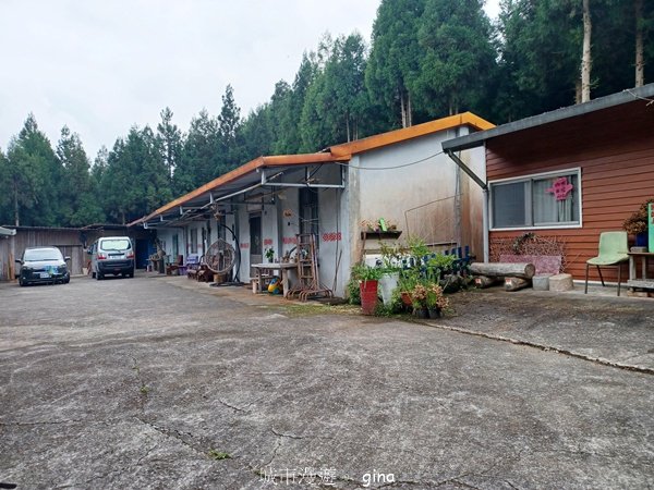 【新竹五峰】迷霧山林。 民都有山登山步道(面托油山)x民都有山北峰2991861