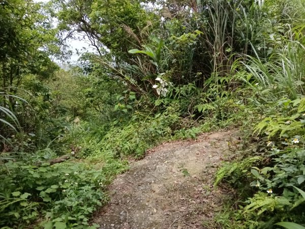 瑞芳區瑞芳四秀(白象山+秀崎山+瑞芳山+龍潭山)2785215