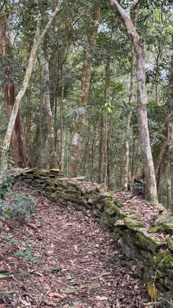 六龜警備道/茂林段/網子山～鳴海山2708205