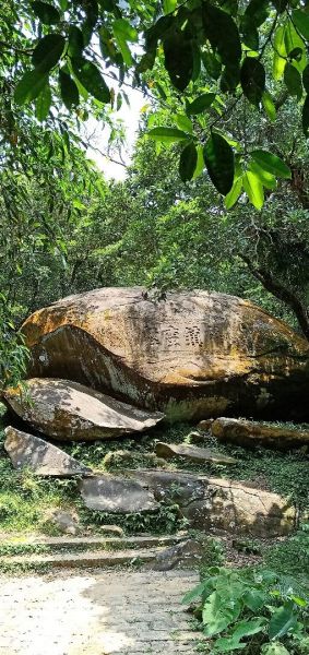 草嶺古道，是一條台灣北部頗具知名度的登山步道376956