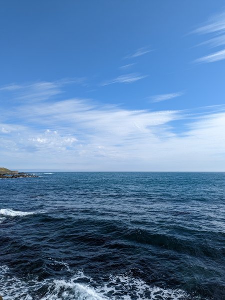 2023-02-11 八斗子潮境公園、環保復育公園步道2792554