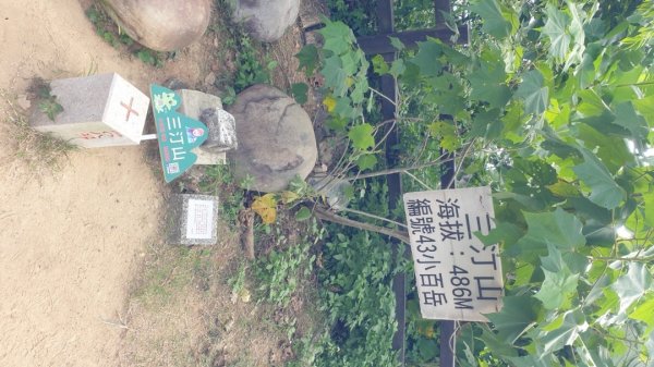 收集小百岳－台中太平三汀山1444035