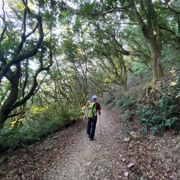 20151117_尾寮山（屏東小百岳）2941601