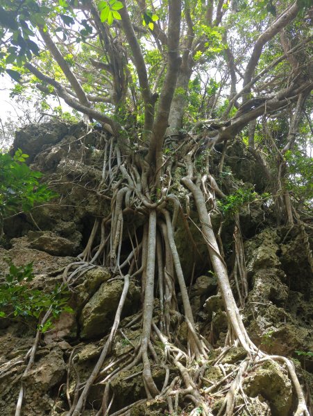 2024.06.09－墾丁國家公園2523881