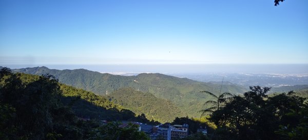 2025/11/22_五指山橫向登山步道+仙洞步道 O型2944190