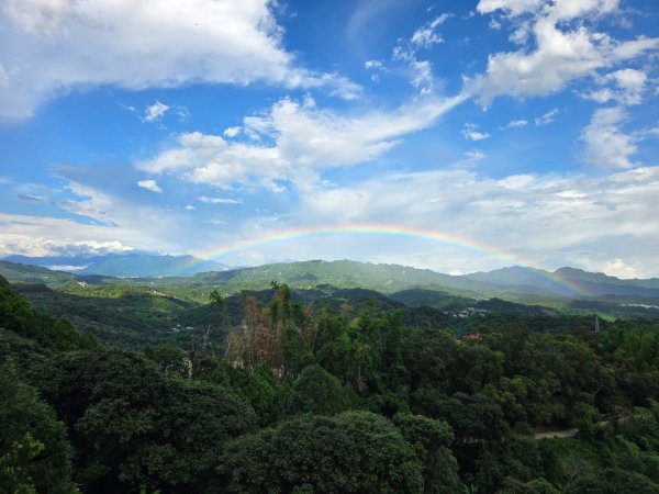 台中大坑頭嵙山（大冠鷲／木蜂／五色鳥／血藤花／鳳凰花）2796627