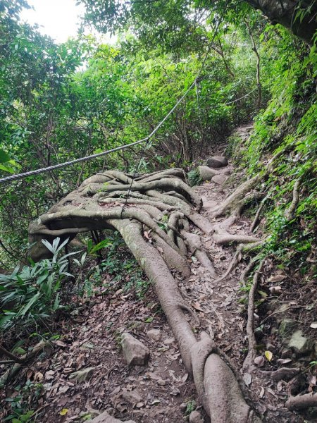 牛寮埔登山步道 - 2023觀音觀鷹尋寶任務2251342