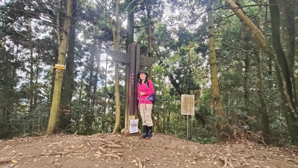 五指山走春3009593