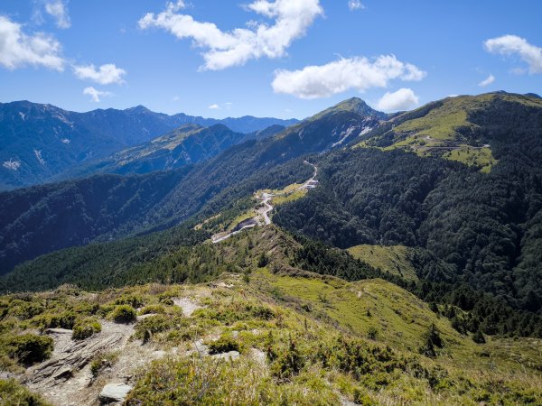 2025-11-07 合歡北峰、小溪營地、鷹石尖、北峰名樹2934331