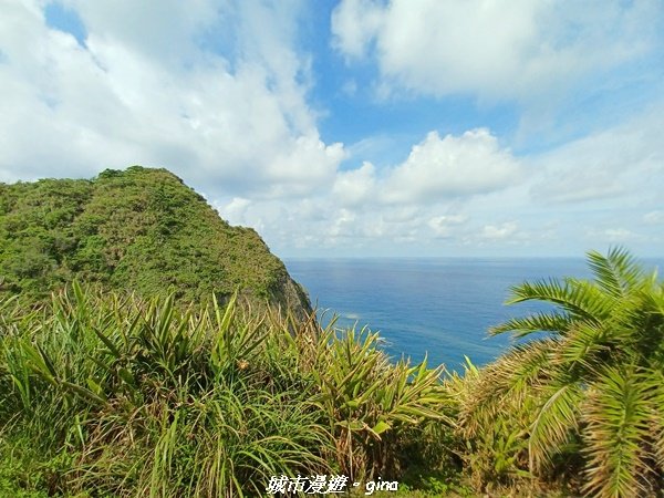 【花蓮豐濱】藍天碧海。大石鼻山步道2251444