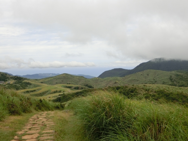 魚路古道．擎天崗．竹篙山94430