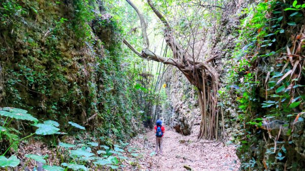 大崗山,盤龍峽谷2954521