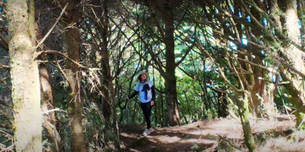 塔塔加五連峰2831425