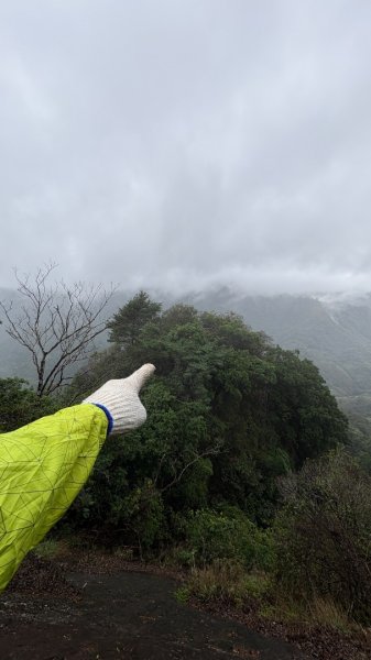 迎新（2026元旦2975578