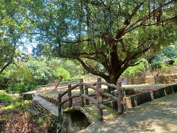 【台中大甲】規劃完善的親民步道。 桂花泉登山步道2862462