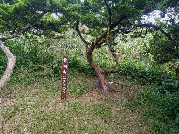 華山4-2號步道上雲嘉連峰2579384