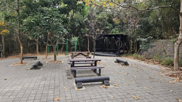 小中嵙登山步道頂中嵙山O形2385041