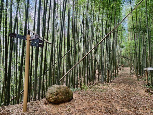 【石壁】五元二角連走木馬古道O繞2871563