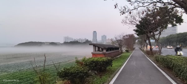 #觀音山 #夕陽 #夜景 #林梢步道 #關渡平原 #輻射霧  2/213003239