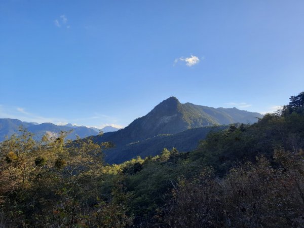 《新竹》觀霧走榛山｜觀雲海202011281190143