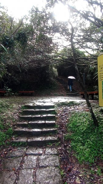 大屯山主峰步道1938094