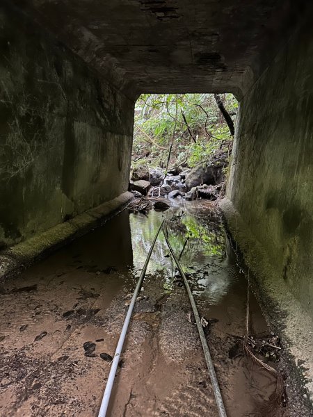 20241222冷飯坑山-楓子林山-烏月山群峰-昇高坑山-竹麻寮山2674727