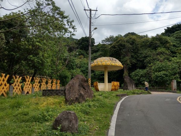 走永春寮步道登中正山，由第一登山口轉頂湖山下頂湖 (2021/3/26)封面