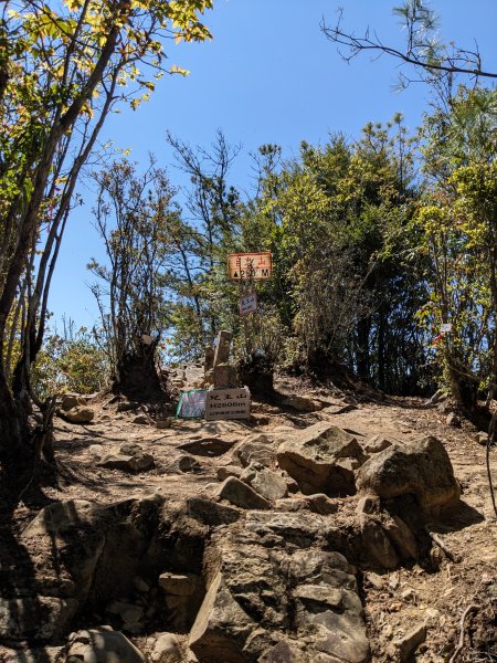 幾乎包場的兒玉山(自忠山)走東水山接特富野古道2548664