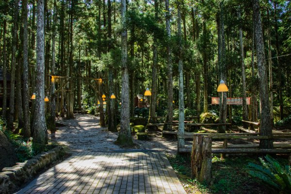 馬武督探索森林2930679