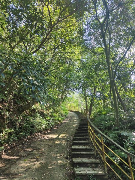 2023.12.08 土庫岳2695263