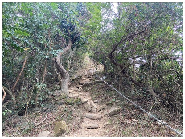 旗靈縱走(旗尾山、福美山、金字面山、人頭山、靈山)2996455