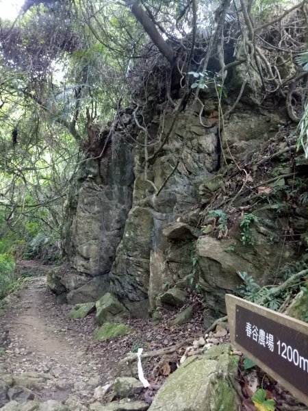 小東河山至大龍山202111201842891