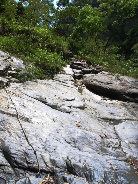 羅木斯溪登山步道90512