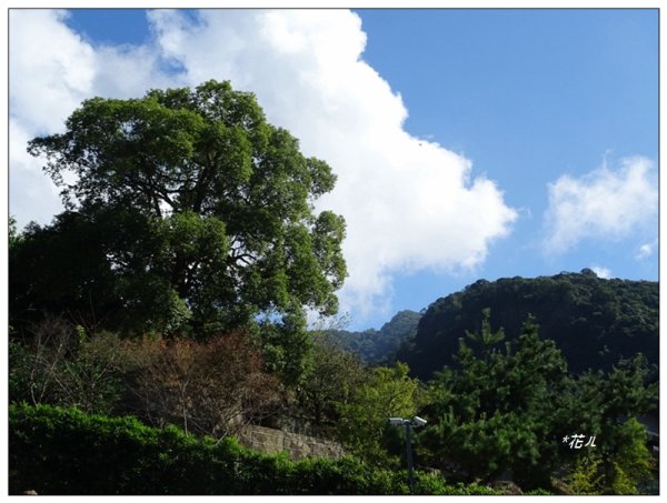 馬那邦山(小百岳)/上湖登山口2427096