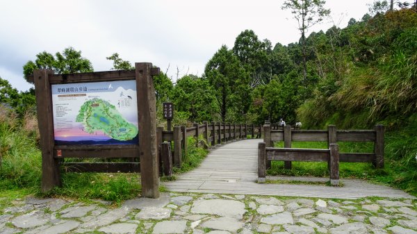 太平山（翠峰,茂興,鐵杉林,見晴）1097074