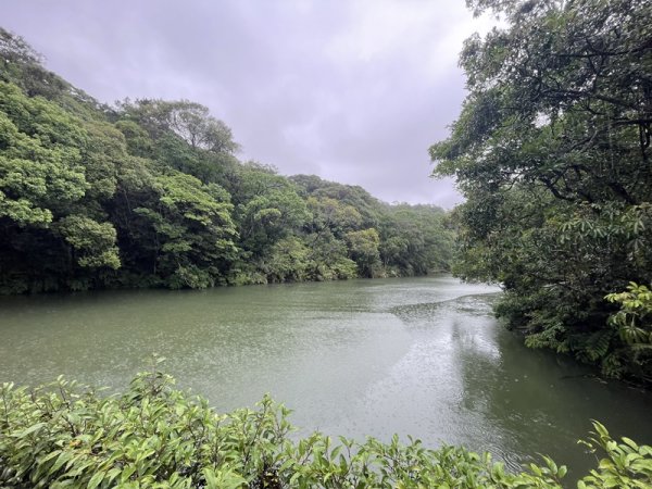 台北大縱走第四段2798722