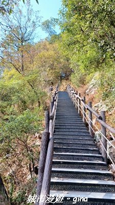 【台中和平】捎來步道x2025山谷燈光節2957993